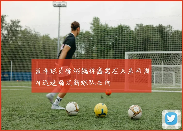 留洋球员徐彬魏祥鑫需在未来两周内迅速确定新球队去向