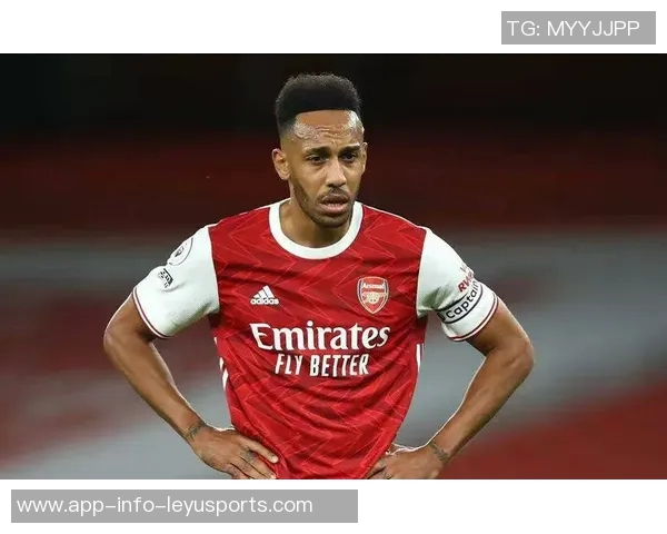 武什科维奇本赛季联赛争顶表现出色成功率超90未来可期